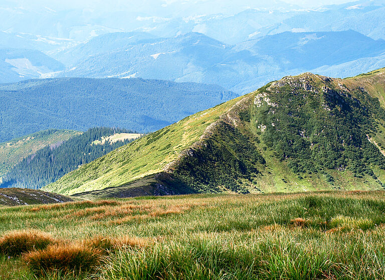 Darstellung einer grünen Wiesen, im Hintergrund befinden sich mit Bäumen bewachsene Berge. 