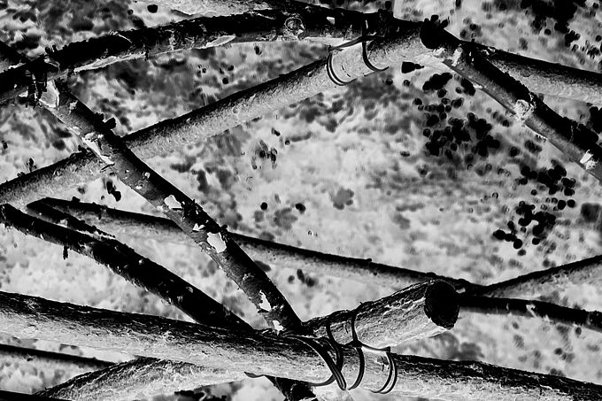 Holzkonstruktion, zusammengebundene Birkenhölzer