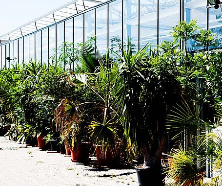 Campus Leipziger Straße 