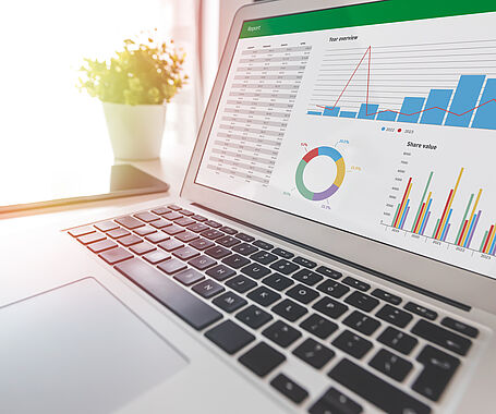 Budget planning, spreadsheet on laptop screen