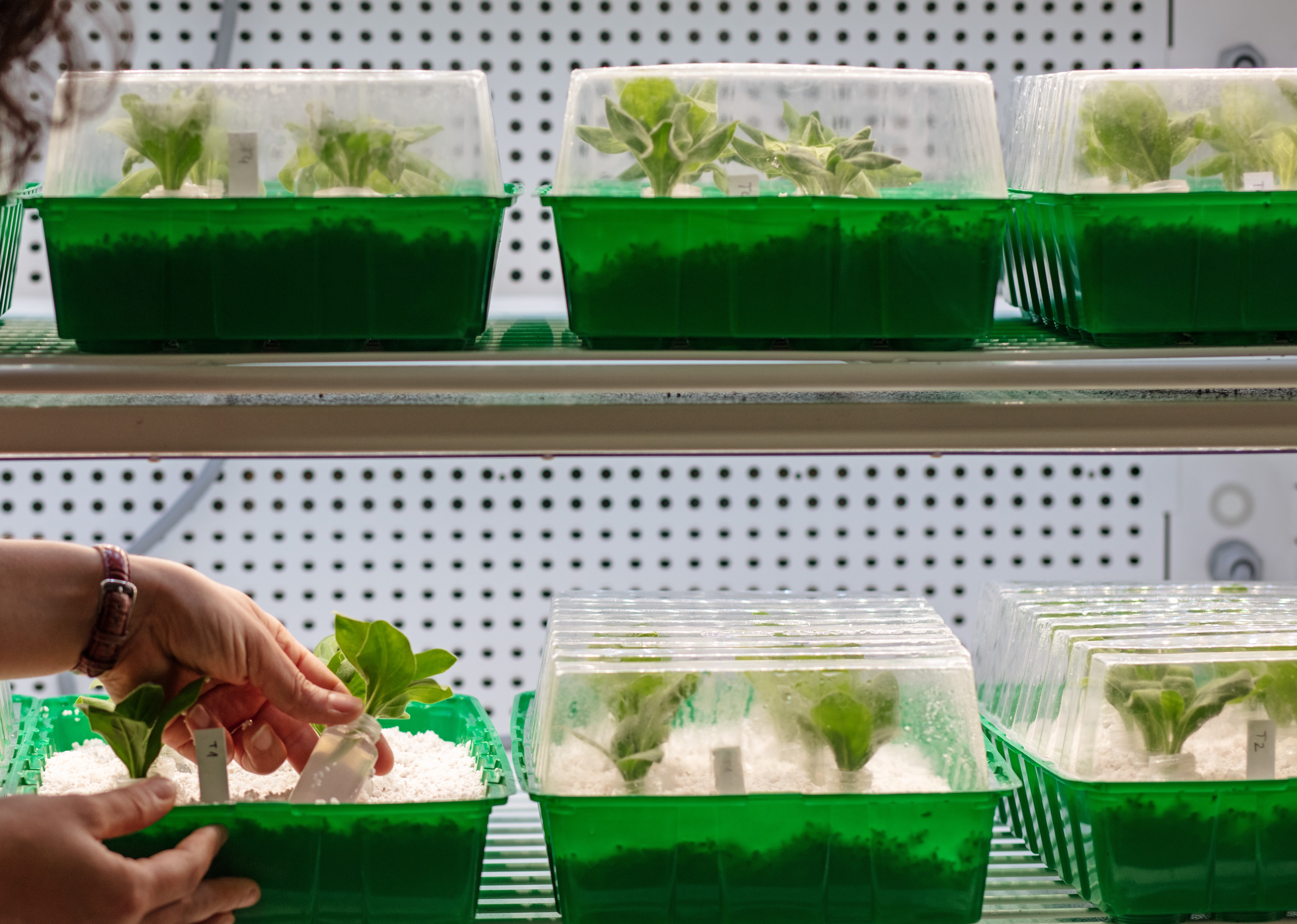 Projektbild Entwicklungssteuerung