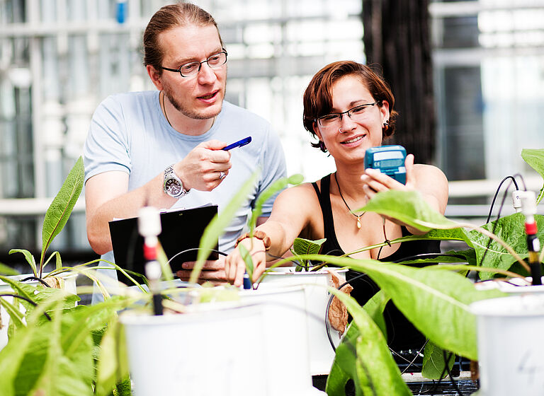 zwei Studierende am Pflanztisch im Gewächshaus