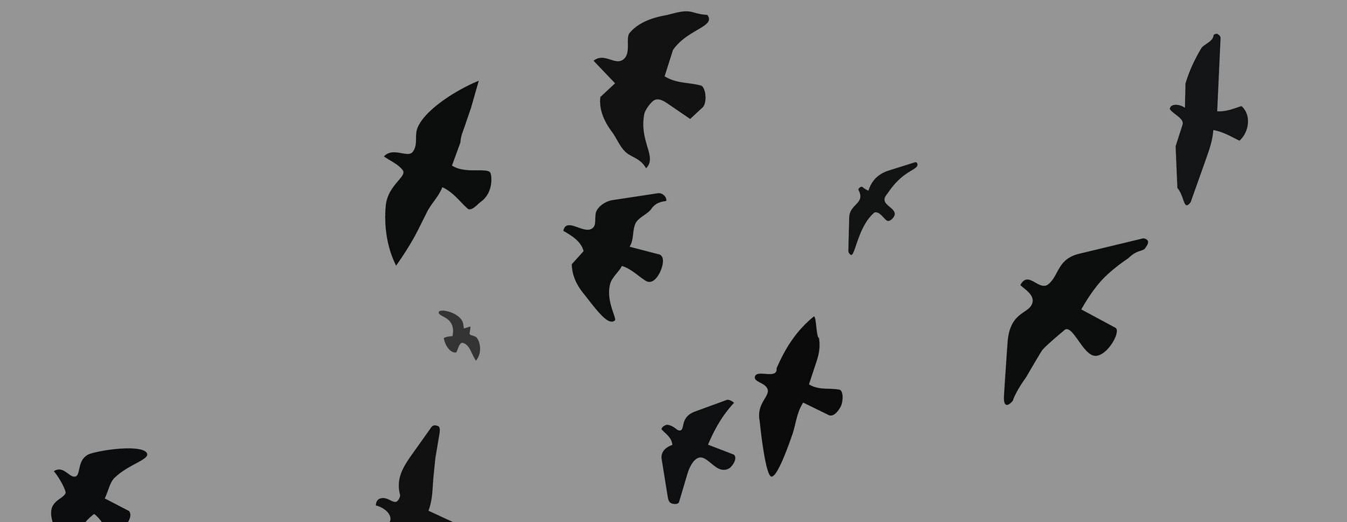 V&ouml;gel am Himmel