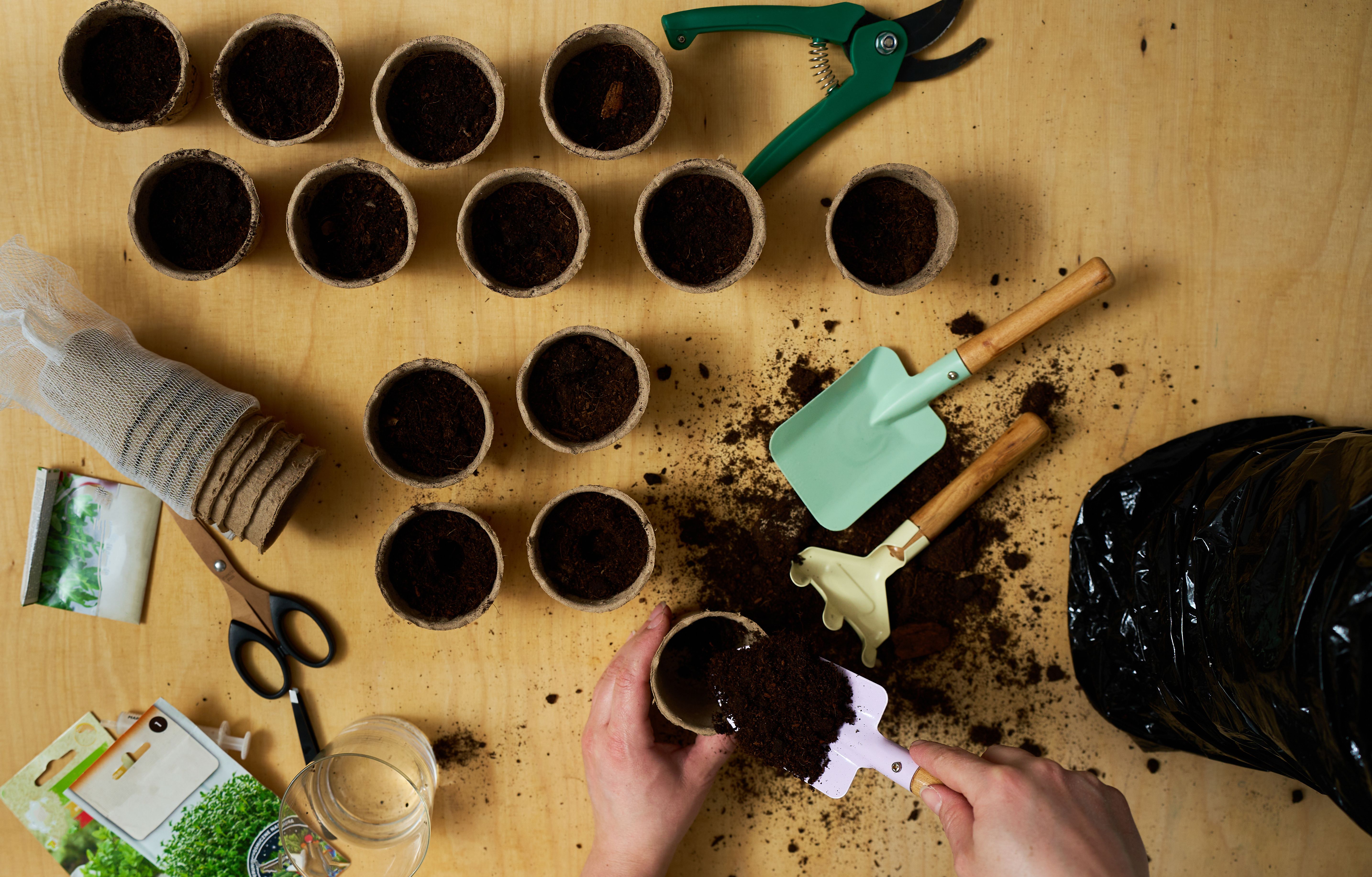 Filling Seedling Pots with Soil. Girl gardener fill a peat pot with dark soil. Gardener scoops rich earth into a biodegradable cup using a wooden-handled shovel.
