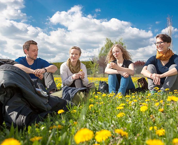 Gruppe Studierende auf Wiese