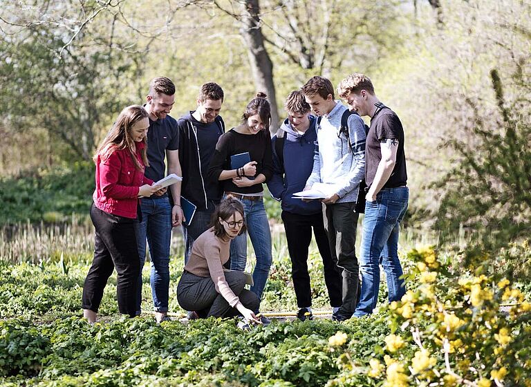 Gruppe Studierender lernen am Grünen Campus