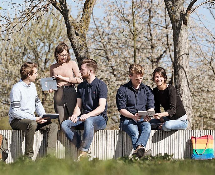 Gruppe Studierender lernen am Grünen Campus