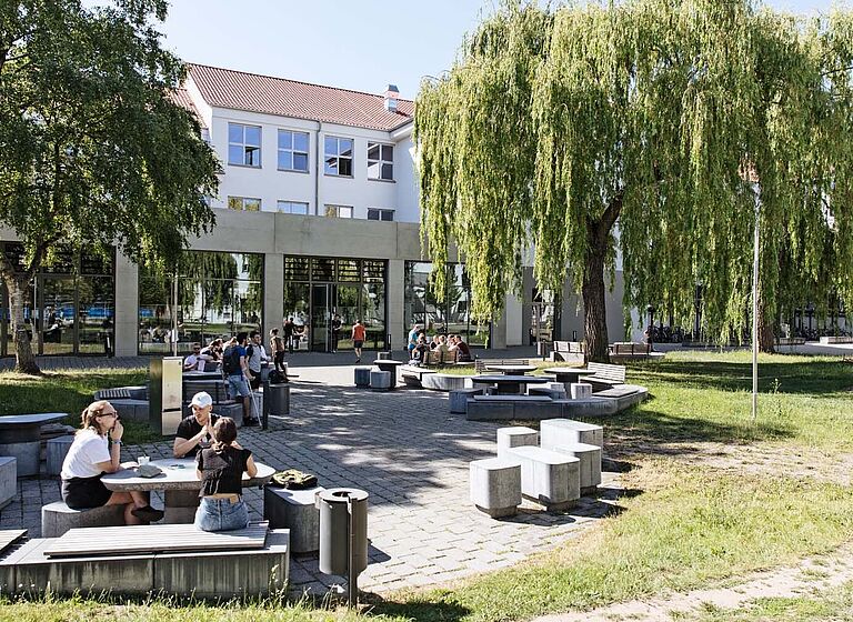 Gruppen Studierende sitzen draußen