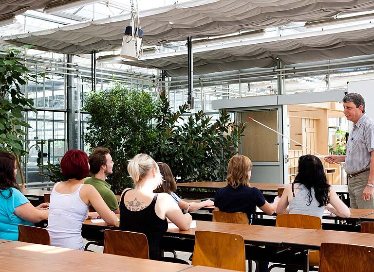 Gruppe Studierender lernt am Grünen Campus